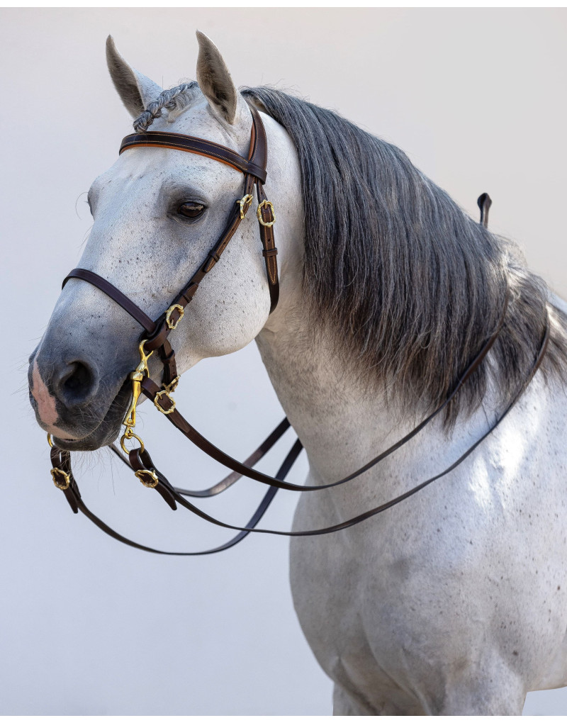 Cabeçada Portuguesa STATERA