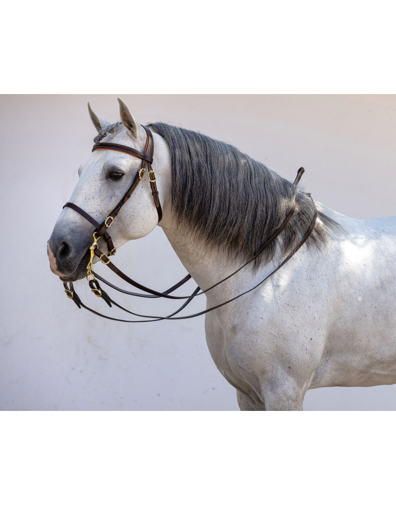 Cabeçada Portuguesa STATERA