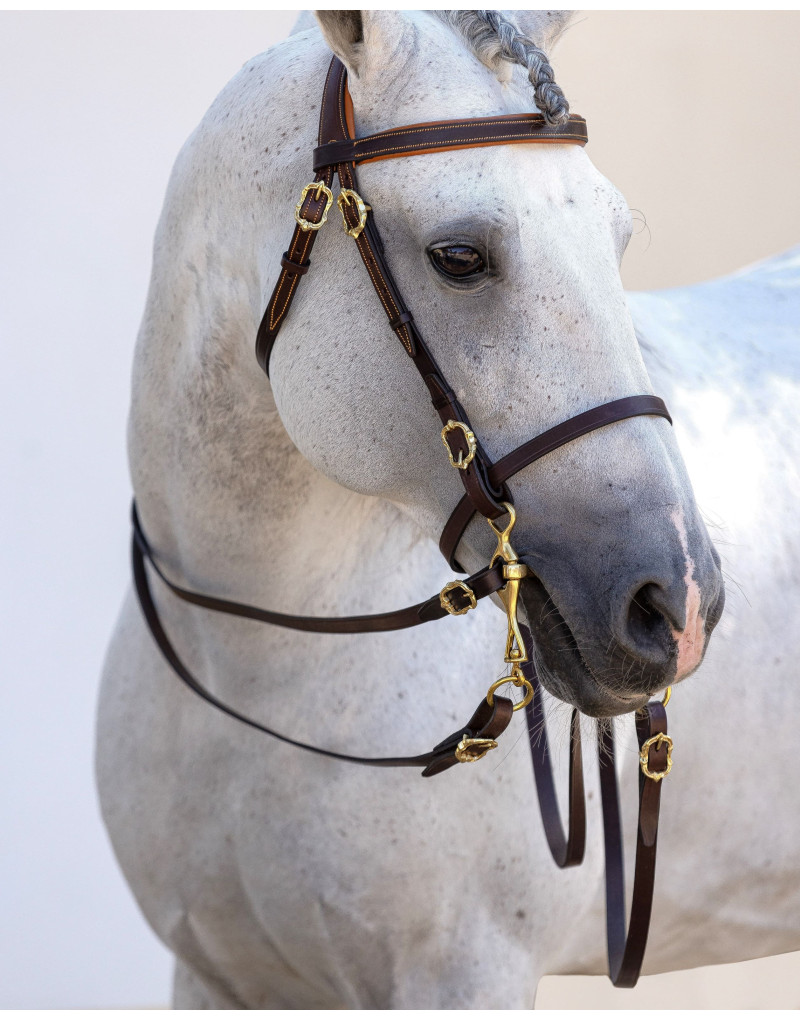 Cabeçada Portuguesa STATERA
