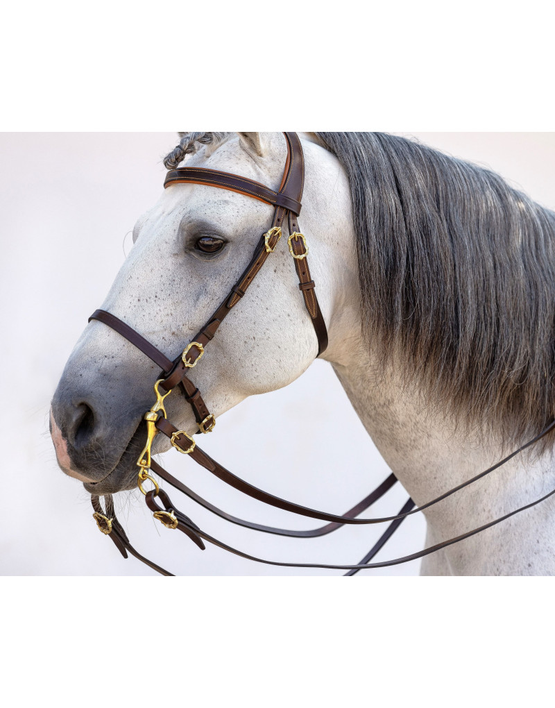 Cabeçada Portuguesa STATERA