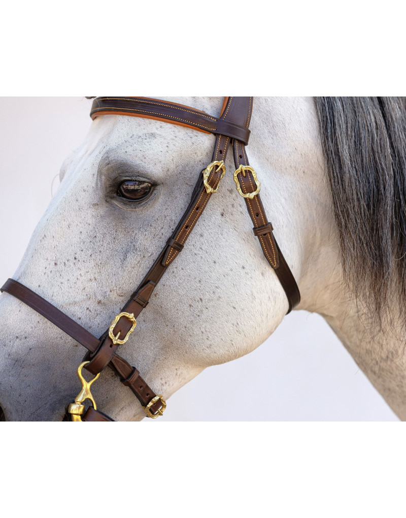 Cabeçada Portuguesa STATERA