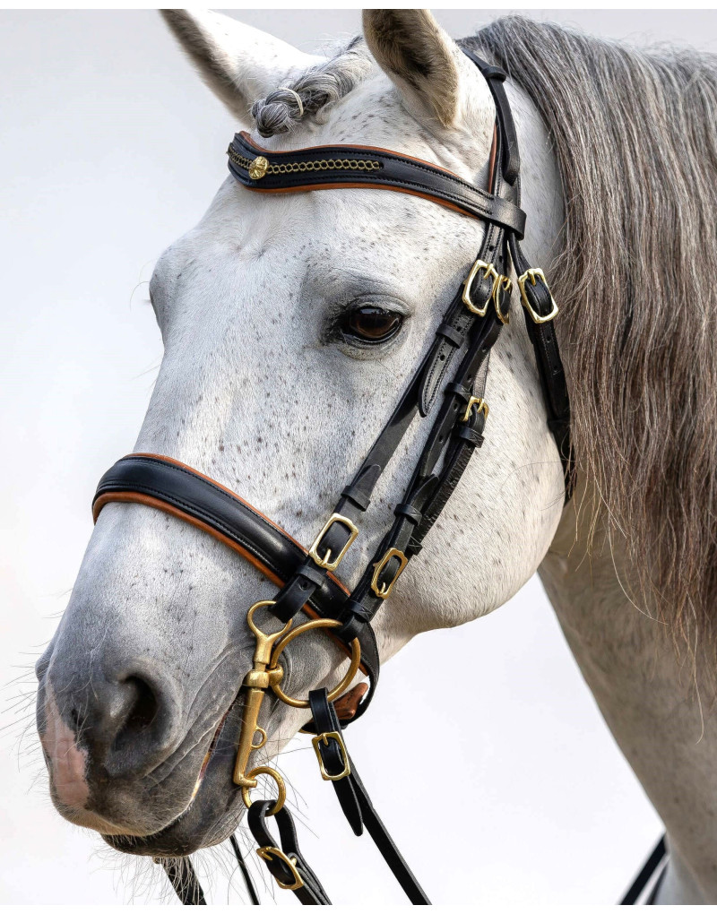 Bride de Mors&Filet FORTUNA