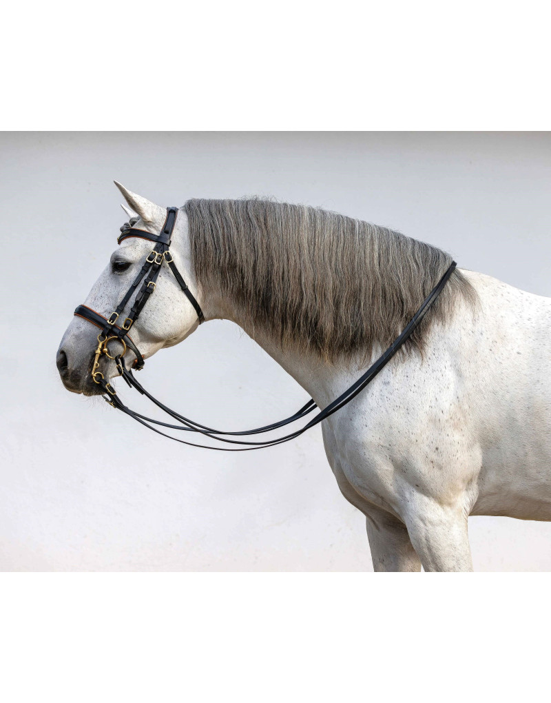 Bride de Mors&Filet FORTUNA