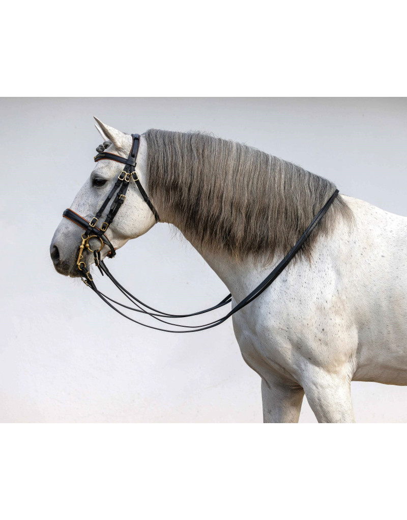 Bride de Mors&Filet FORTUNA