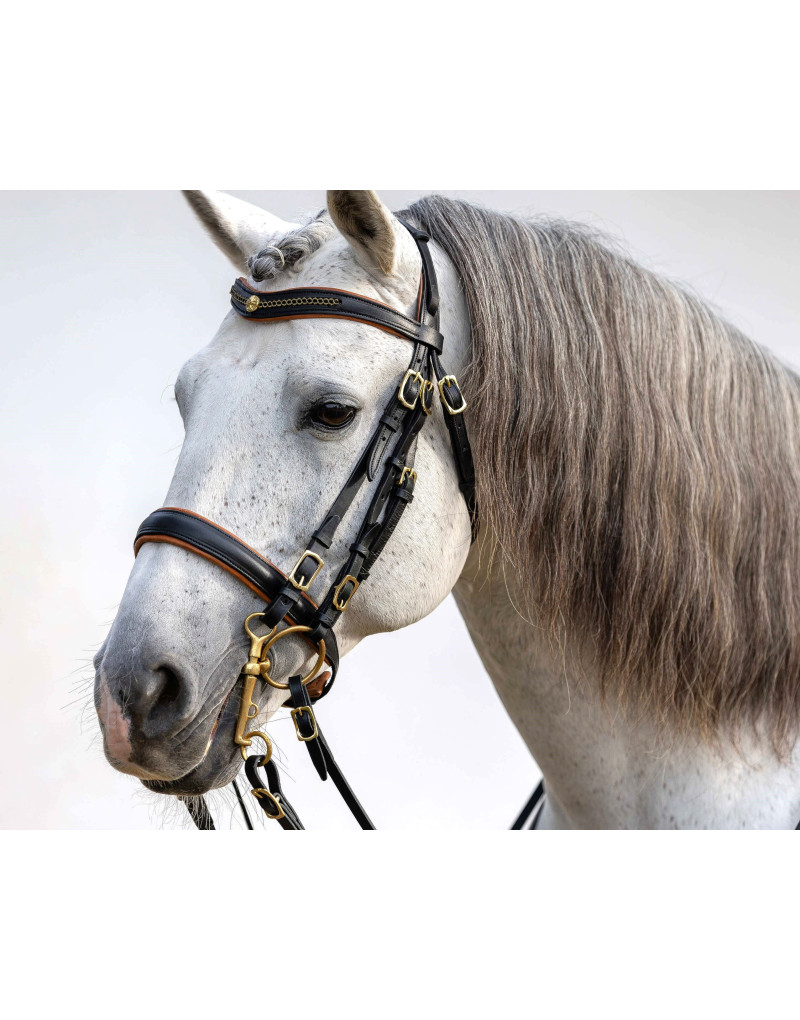 Bride de Mors&Filet FORTUNA