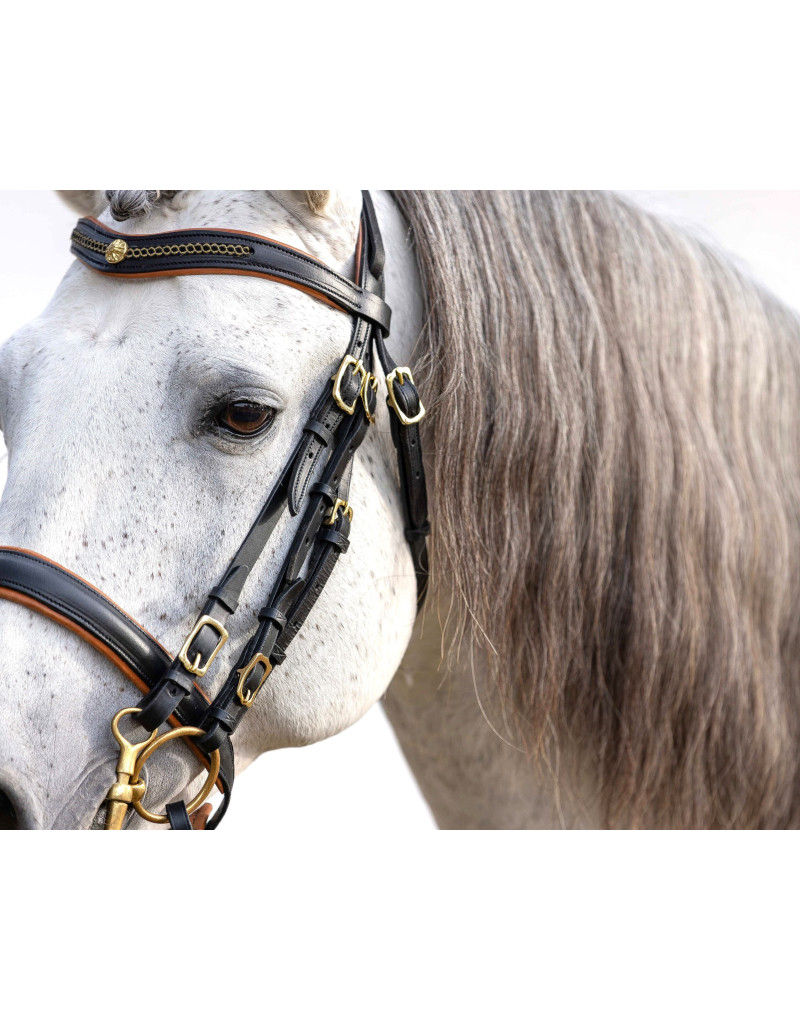 Bride de Mors&Filet FORTUNA