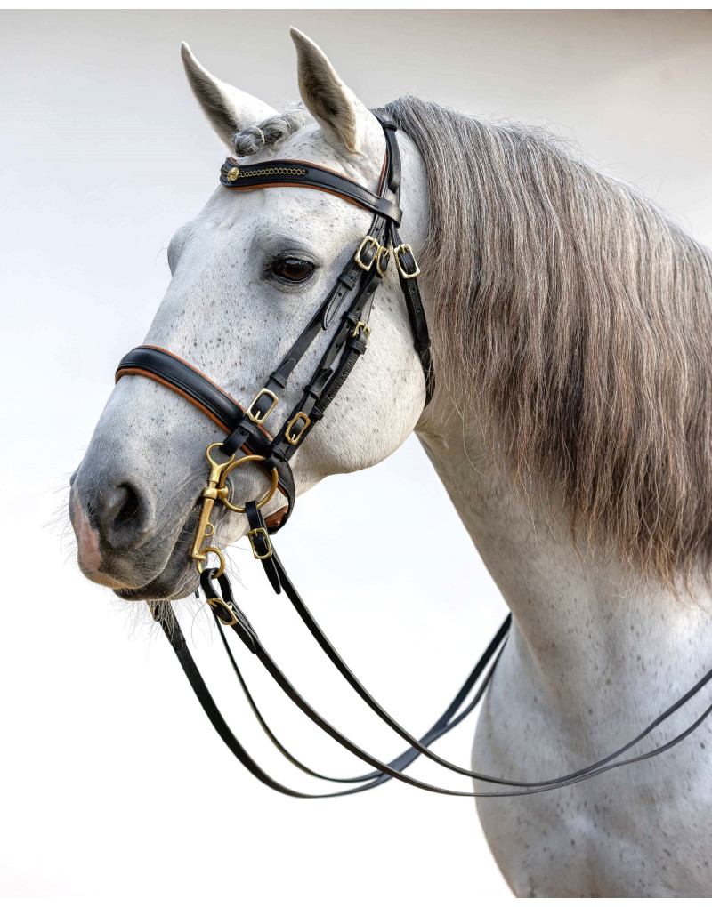 Bride de Mors&Filet FORTUNA