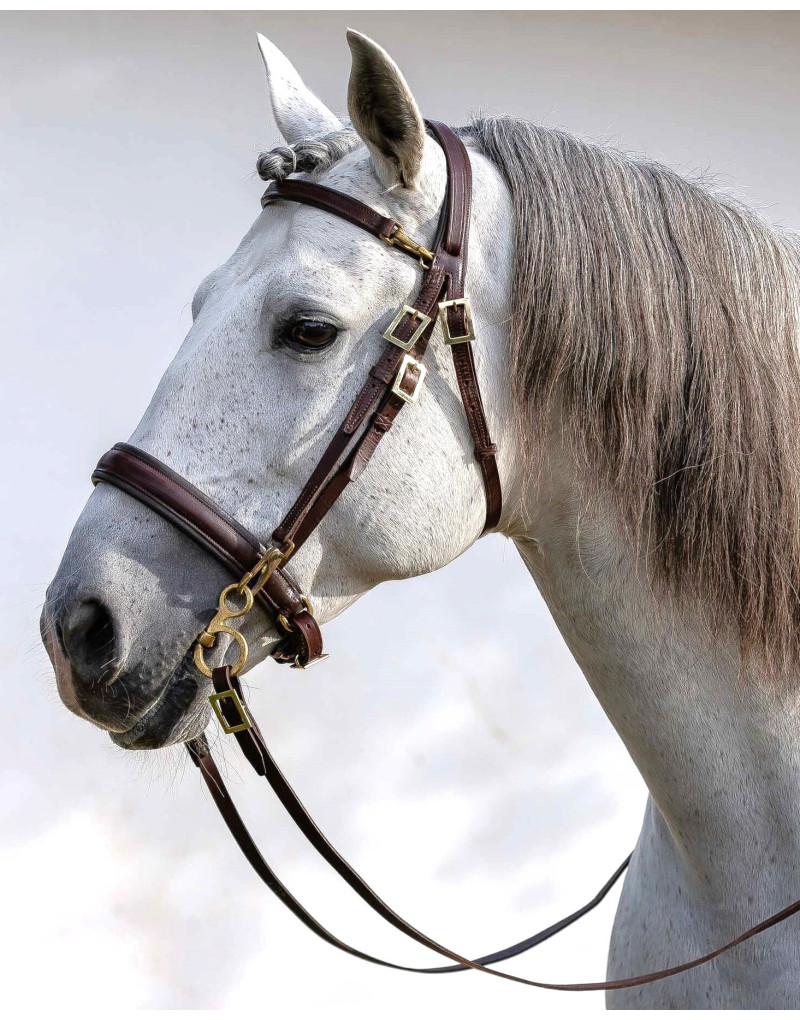 Bridon de Filet ORION