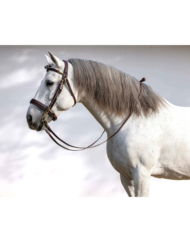 Bridon de Filet ORION