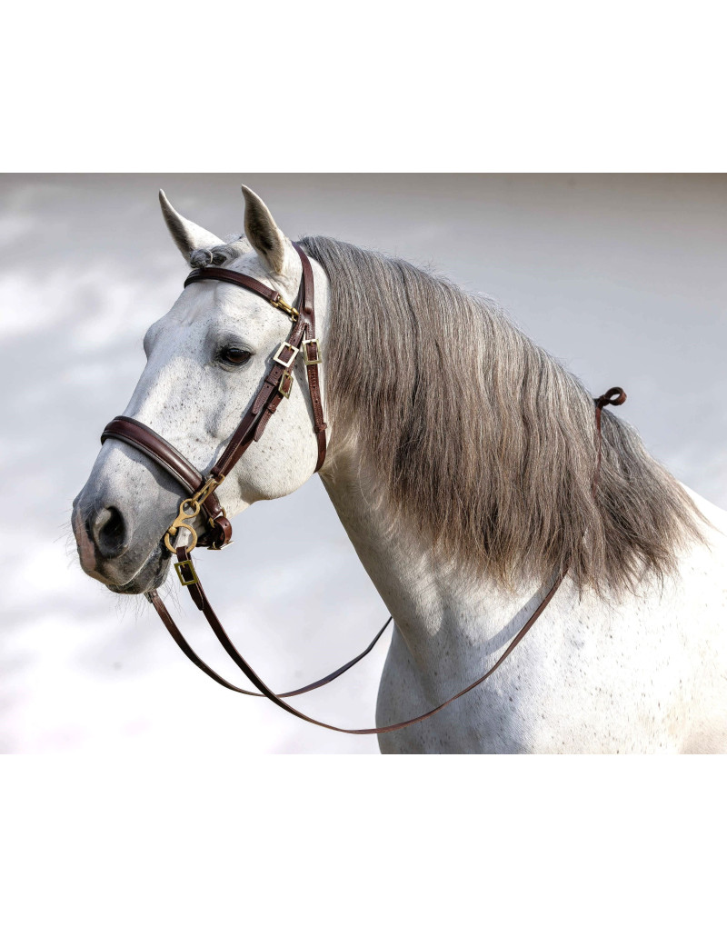 Bridon de Filet ORION