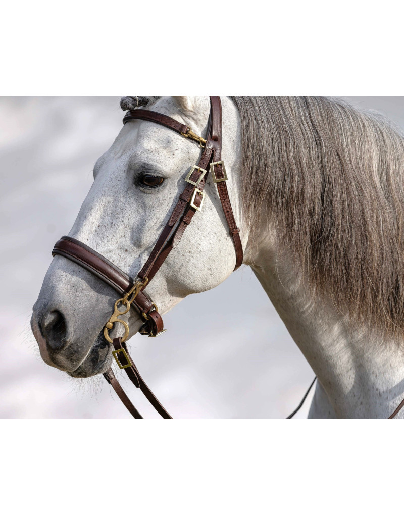 Bridon de Filet ORION