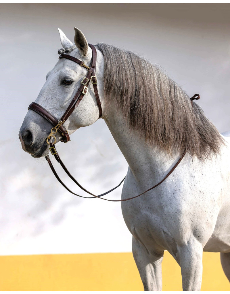 Bridon de Filet ORION