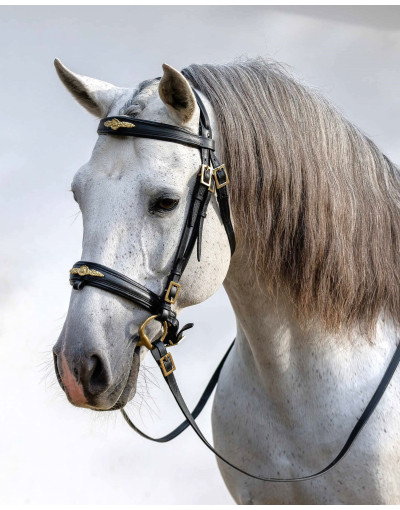 Cabeçada Bridão ASPIRE