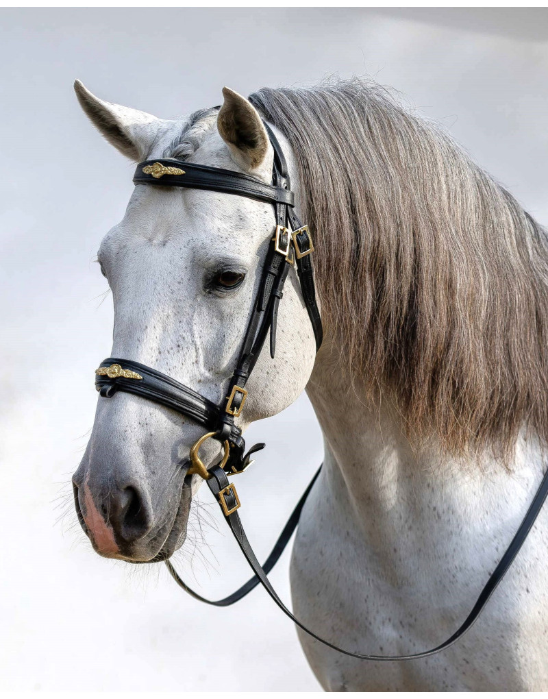 Cabeçada Bridão ASPIRE