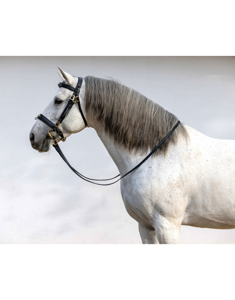 Cabeçada Bridão ASPIRE