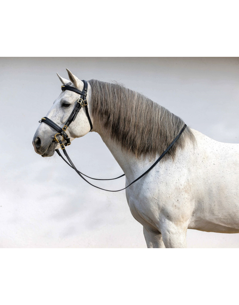 Cabeçada Bridão ASPIRE