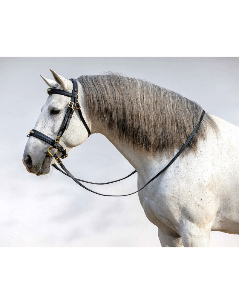 Cabeçada Bridão ASPIRE