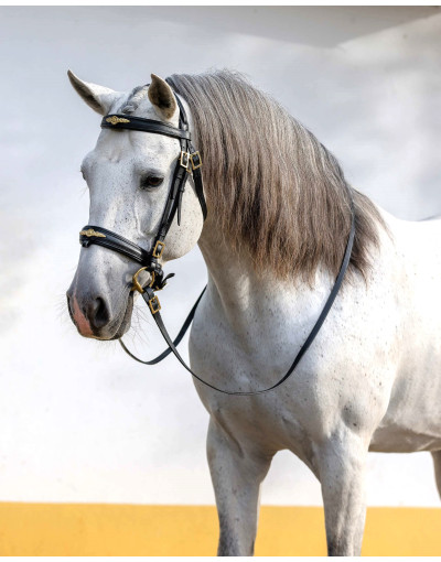 Cabeçada Bridão ASPIRE