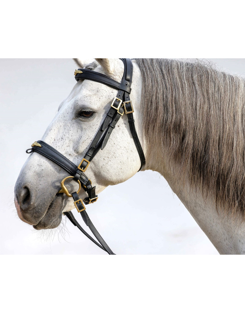 Cabeçada Bridão ASPIRE