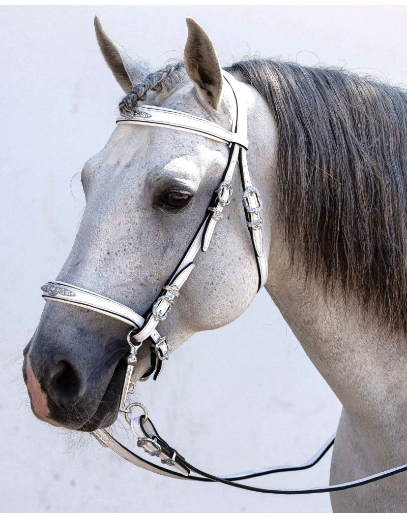 Cabeçada Meia Cortesia CLARUS