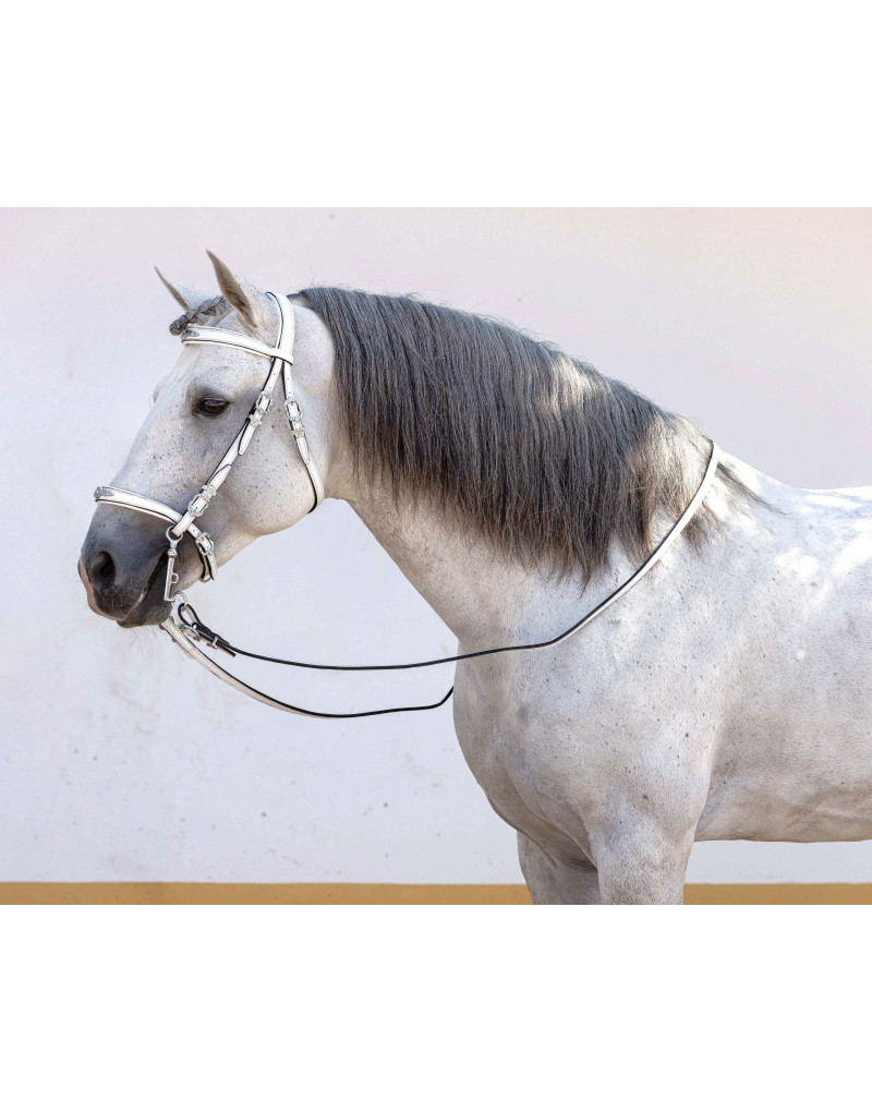 Cabeçada Meia Cortesia CLARUS