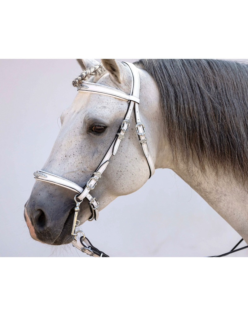 Cabeçada Meia Cortesia CLARUS