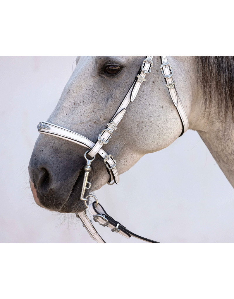 Cabeçada Meia Cortesia CLARUS