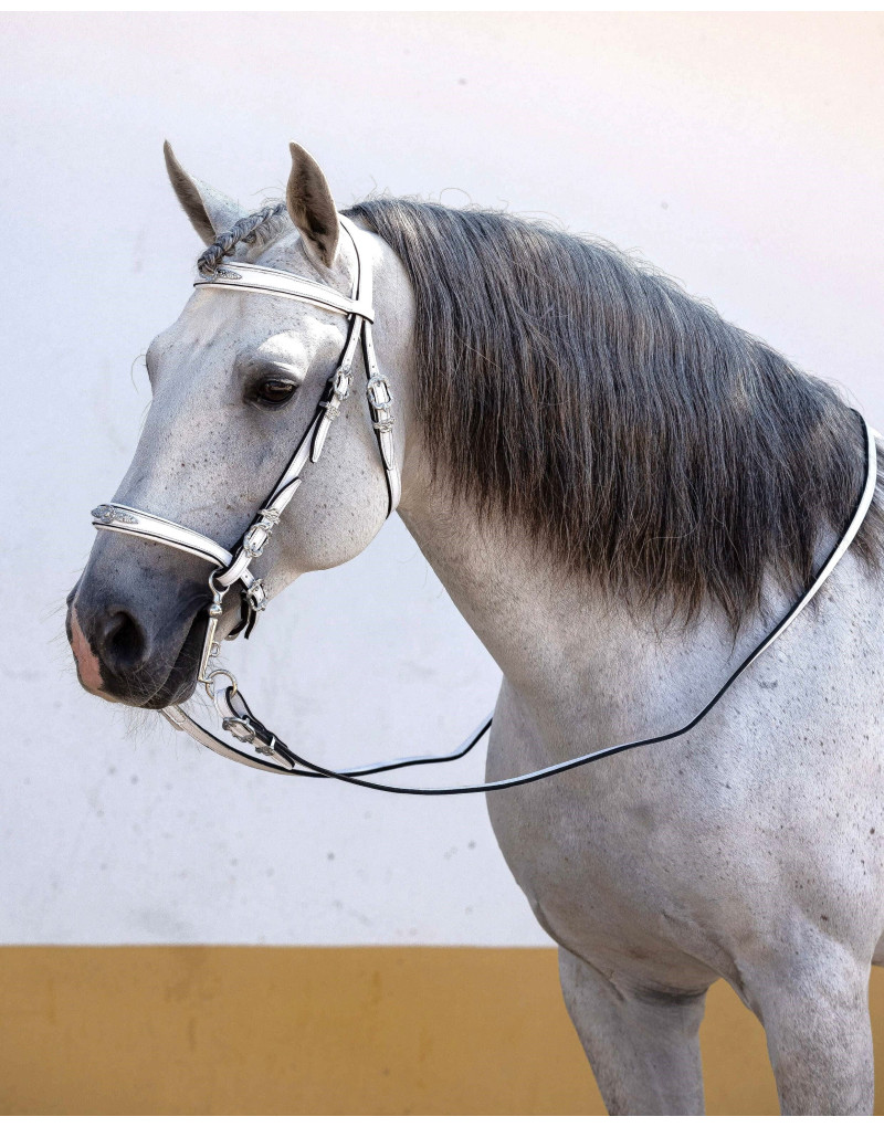 Cabeçada Meia Cortesia CLARUS