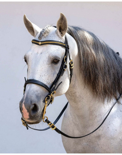 REGIUM Mixed Bridle