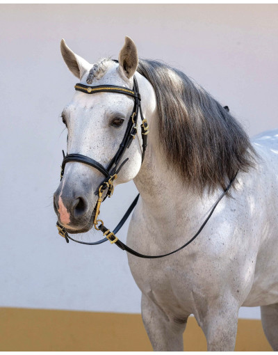 REGIUM Mixed Bridle
