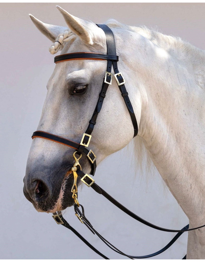 Cabeçada Portuguesa ORIGO
