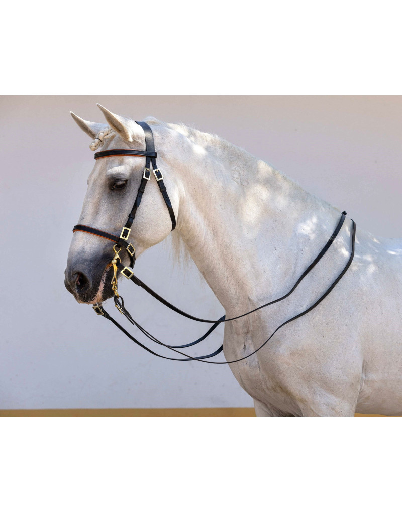 Cabeçada Portuguesa ORIGO