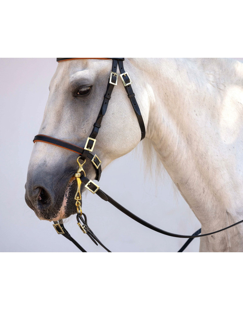 Cabeçada Portuguesa ORIGO