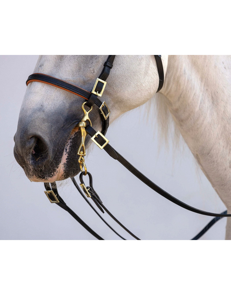 Cabeçada Portuguesa ORIGO