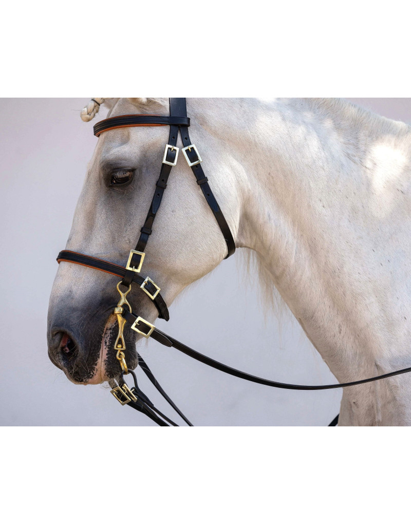 Cabeçada Portuguesa ORIGO