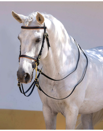 Cabeçada Portuguesa ORIGO