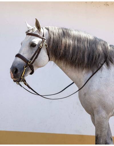 Cabeçada Mista VIGORA