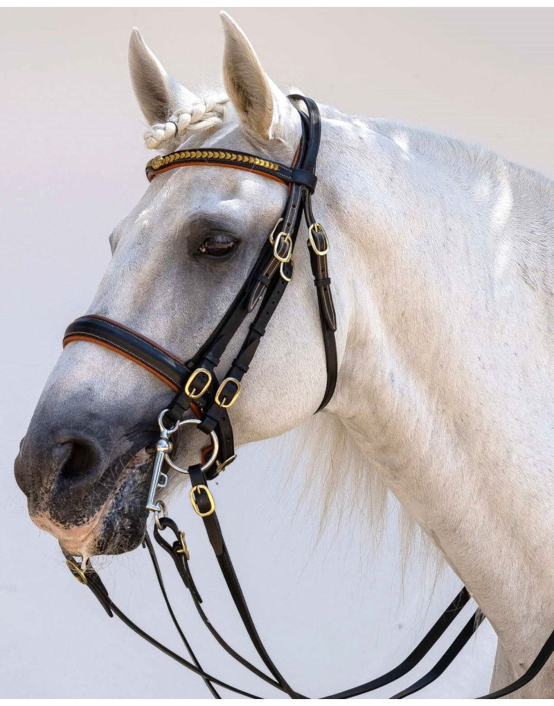 Cabezada Mixta Bocado&Filete AUREA