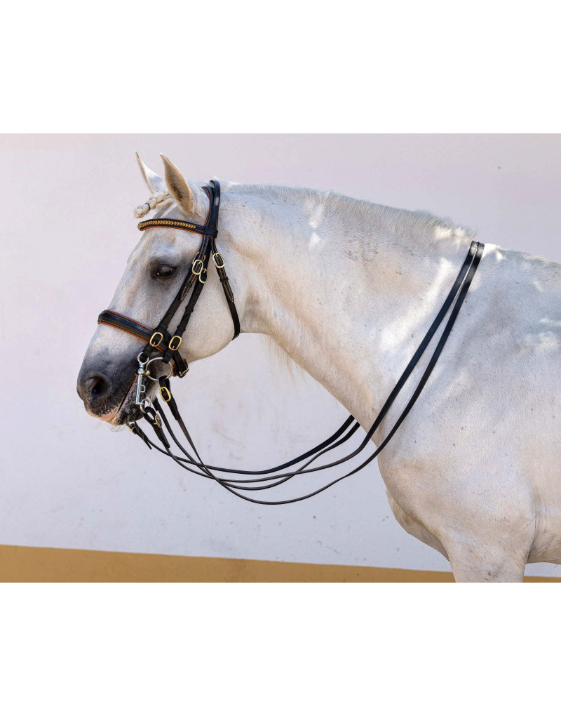 Cabezada Mixta Bocado&Filete AUREA