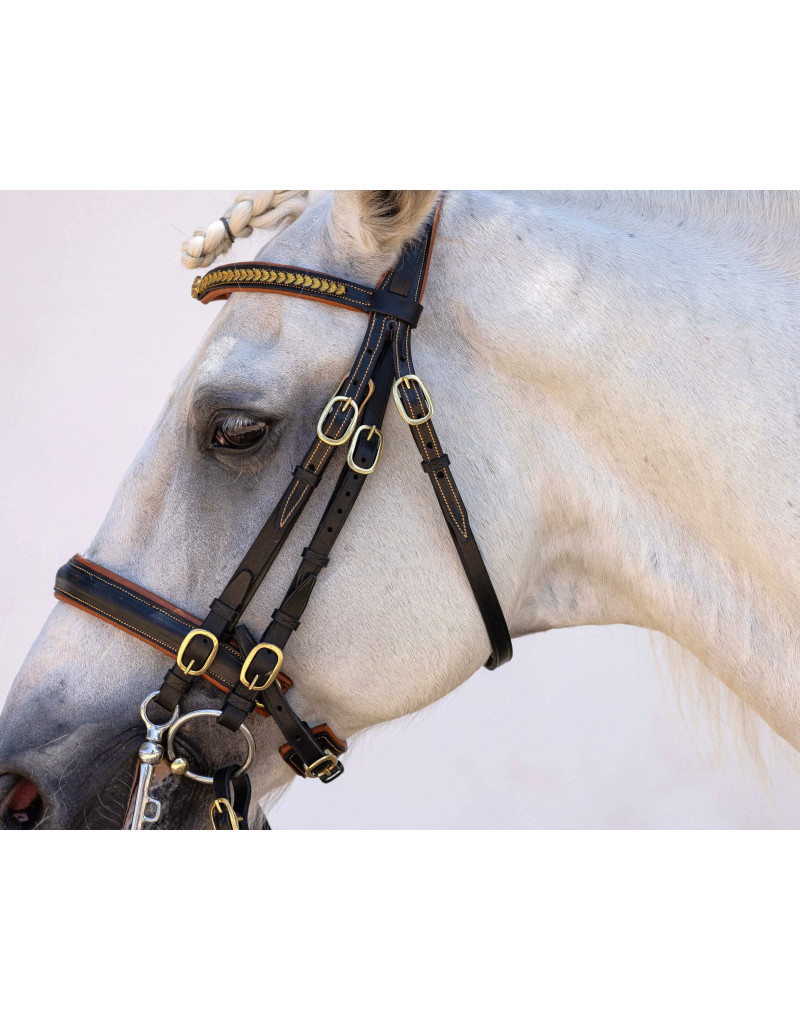 Cabezada Mixta Bocado&Filete AUREA