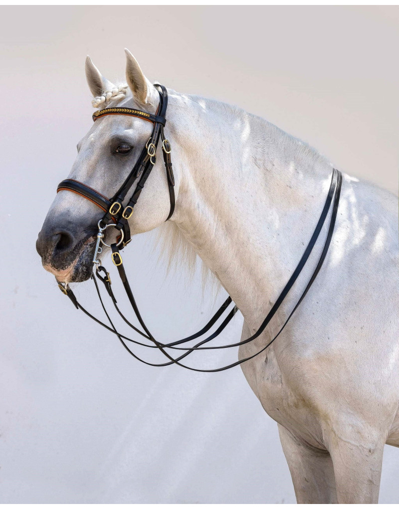 Cabezada Mixta Bocado&Filete AUREA