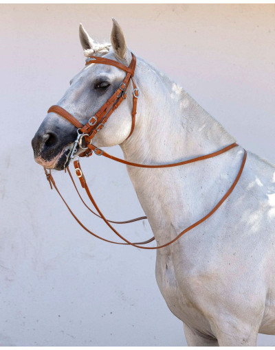 Bride Mixte Mors&Filet SUBLIMIS