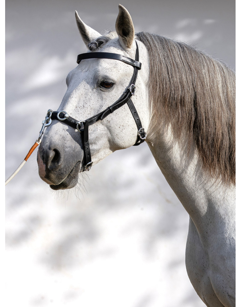 Serrilhão Português AXIS