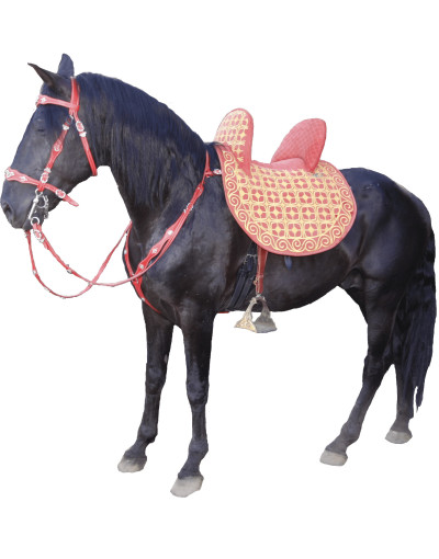 سرج أمارا - AMARA Saddle