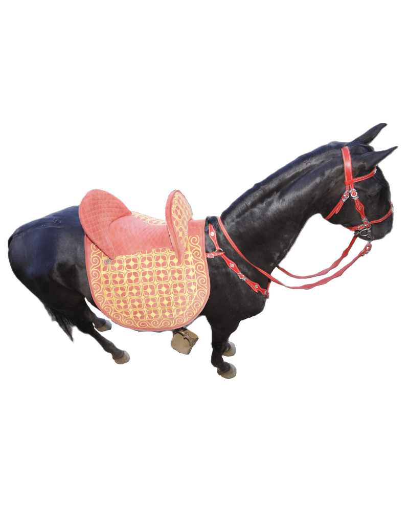 سرج أمارا - AMARA Saddle