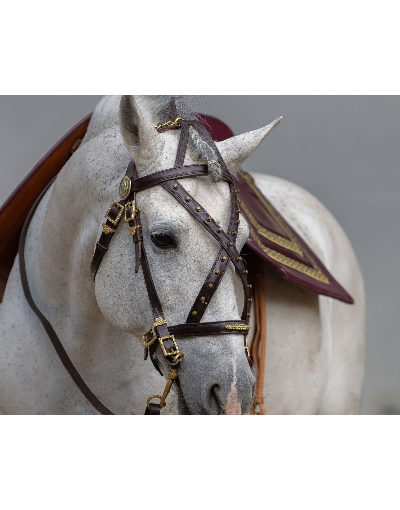 Cabeçada Cortesia CONSILIUM