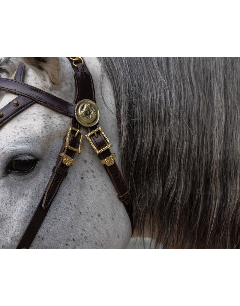 Cabeçada Cortesia CONSILIUM