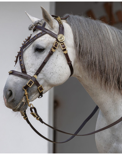 Bride de Courtoisie CONSILIUM