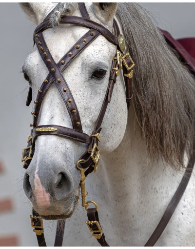 Bride de Courtoisie CONSILIUM