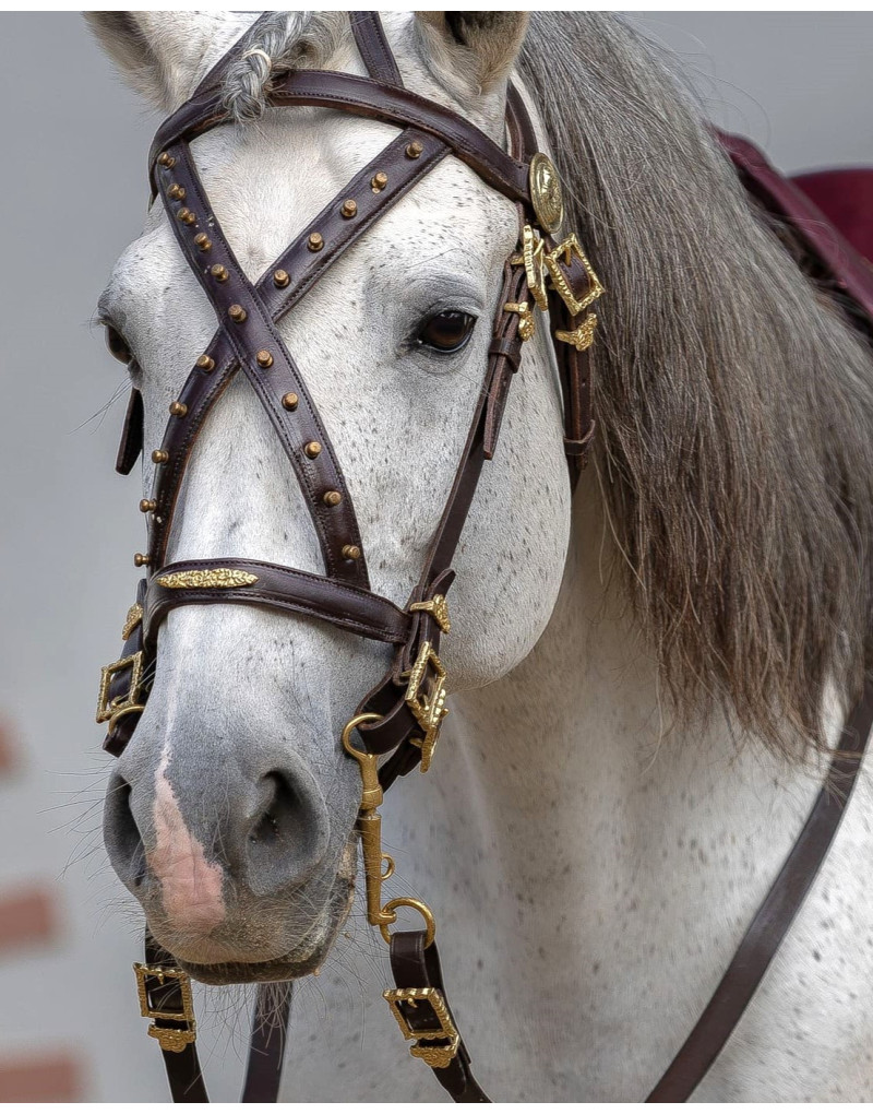 Cabeçada Cortesia CONSILIUM
